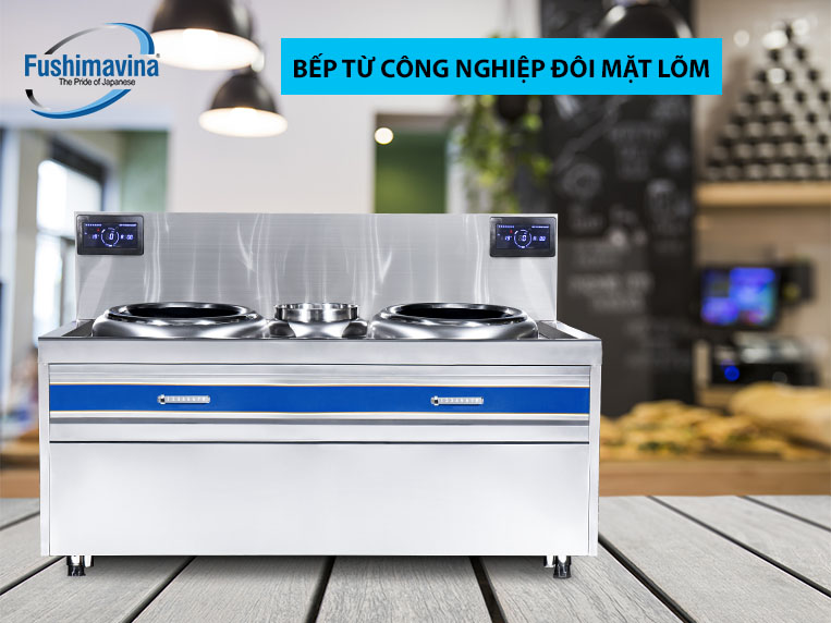 Các loại bếp từ công nghiệp