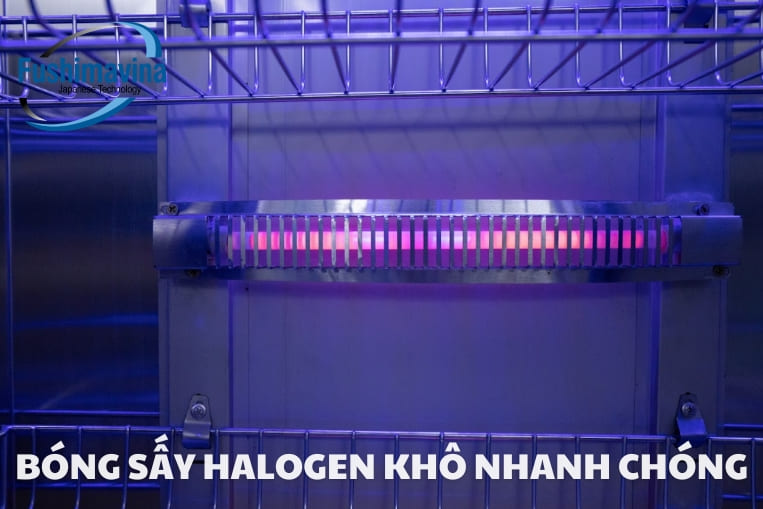 hệ thống bóng sấy Halogen