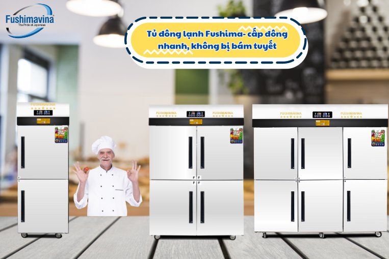 Tủ đông đứng không đóng tuyết Fushima