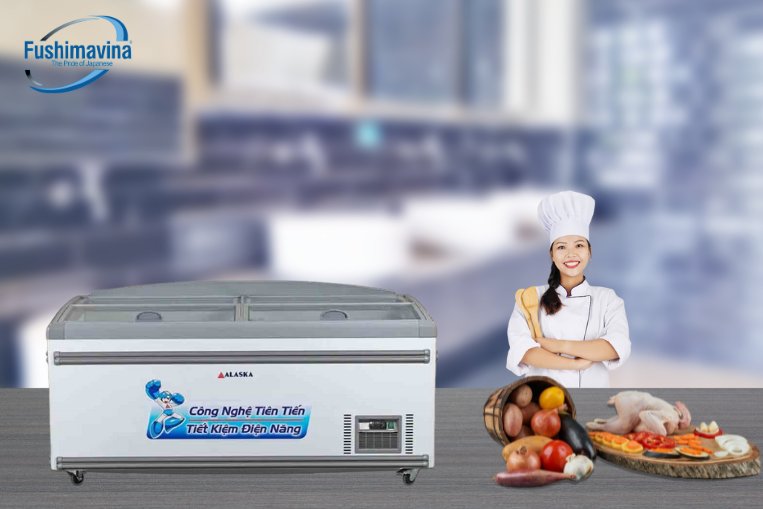 Tủ đông không bám tuyết Alaska