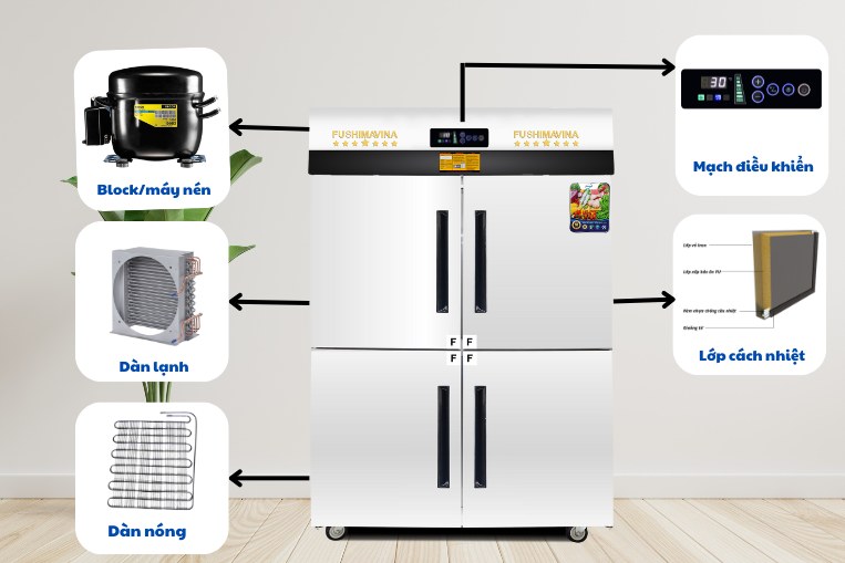 cấu tạo tủ đông