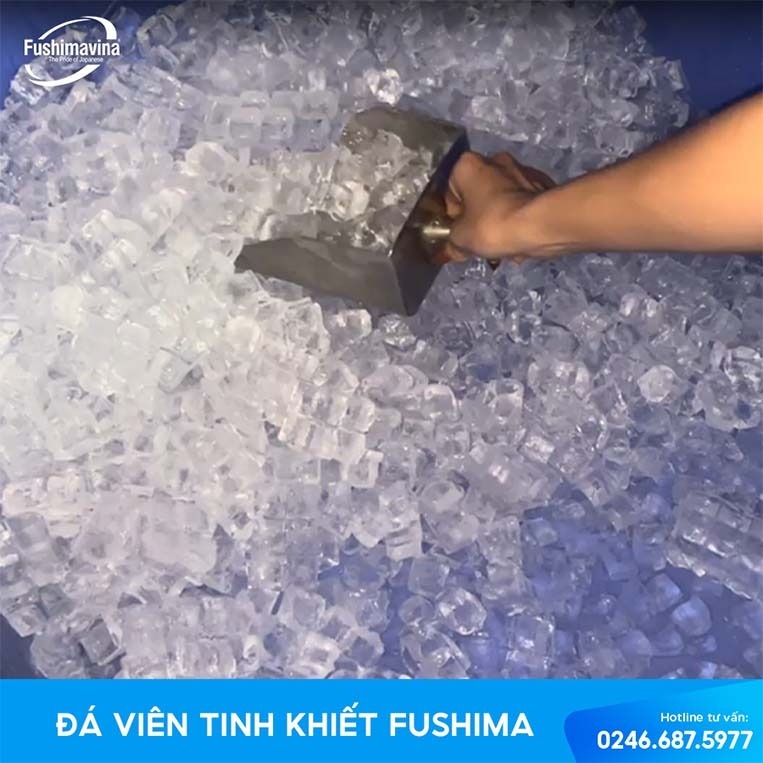 cơ sở sản xuất đá viên cung cấp đa dạng các loại đá viên