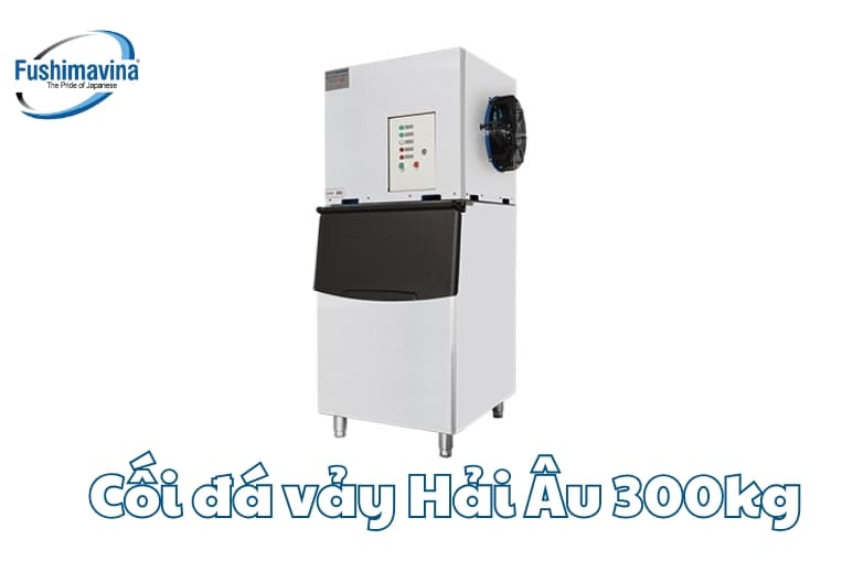đá vảy hải âu