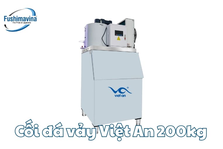 đá vảy việt an