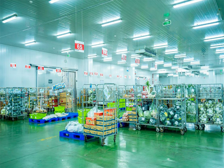 Bảo quản đông lạnh là gì? Công nghệ bảo quản lạnh được ứng dụng phổ biến