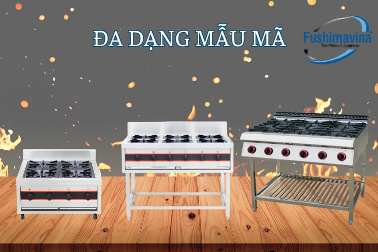 bếp âu có nhiều loại khác nhau