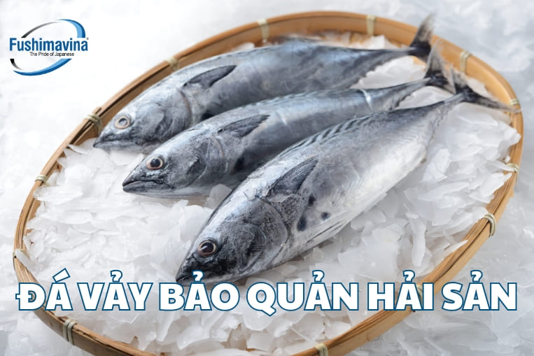 đá vảy để bảo quản thực phẩm đông lạnh