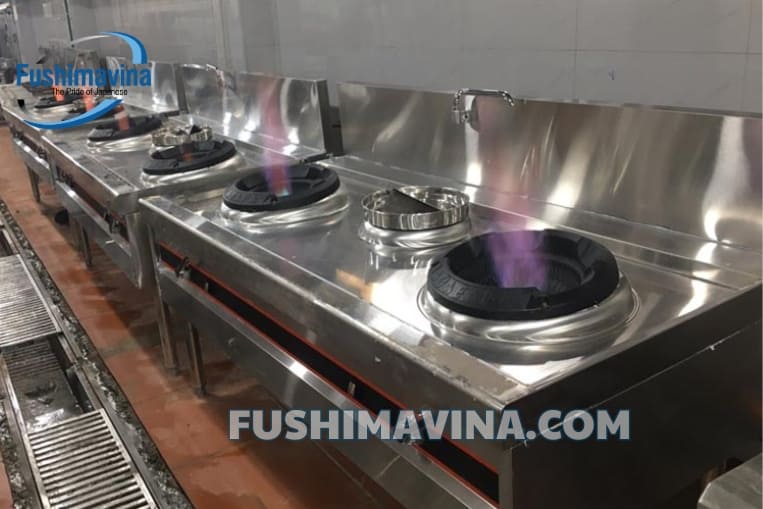 fushima có kinh nghiệm nhiều dự án lớn