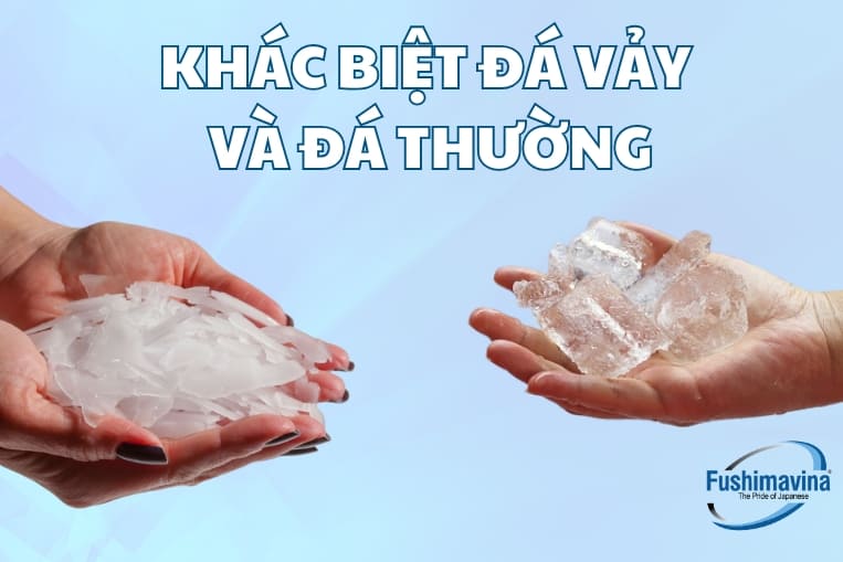 so sánh đá vảy với đá thường