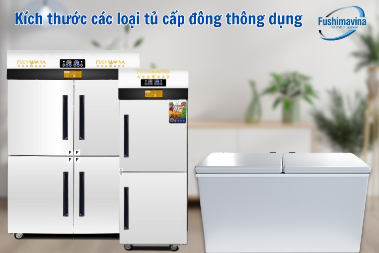 kích thước tủ đông thông dụng