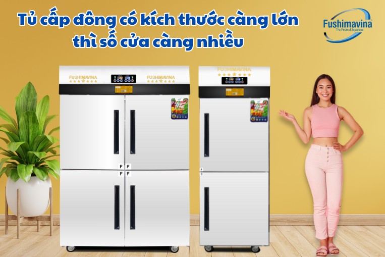 Kích thước các loại tủ cấp đông phân theo số cửa