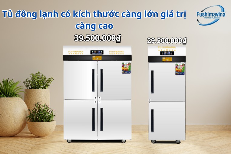 Chọn tủ đông kích thước phù hợp giúp bạn tiết kiệm tối đa