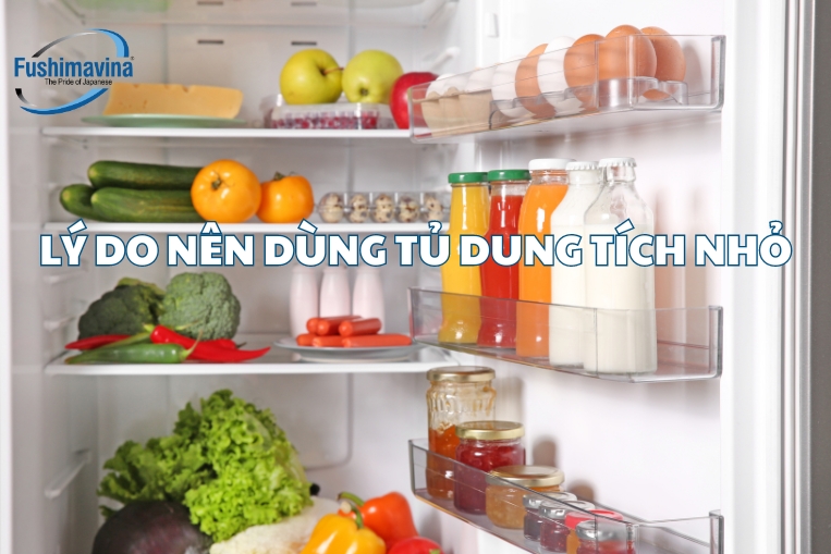 lý do nên dùng tủ dung tích nhỏ