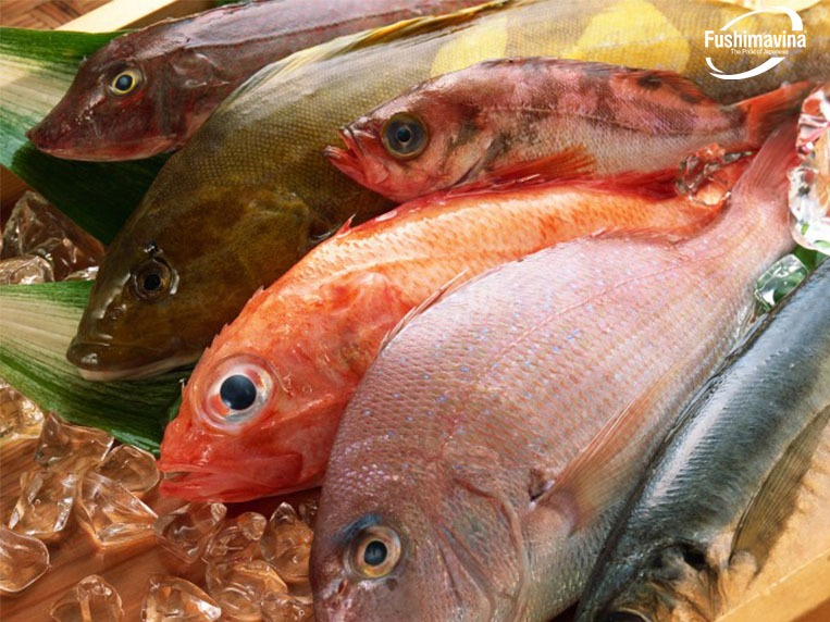 máy làm đá công suất lớn sử dụng trong lĩnh vực bảo quản thực phẩm