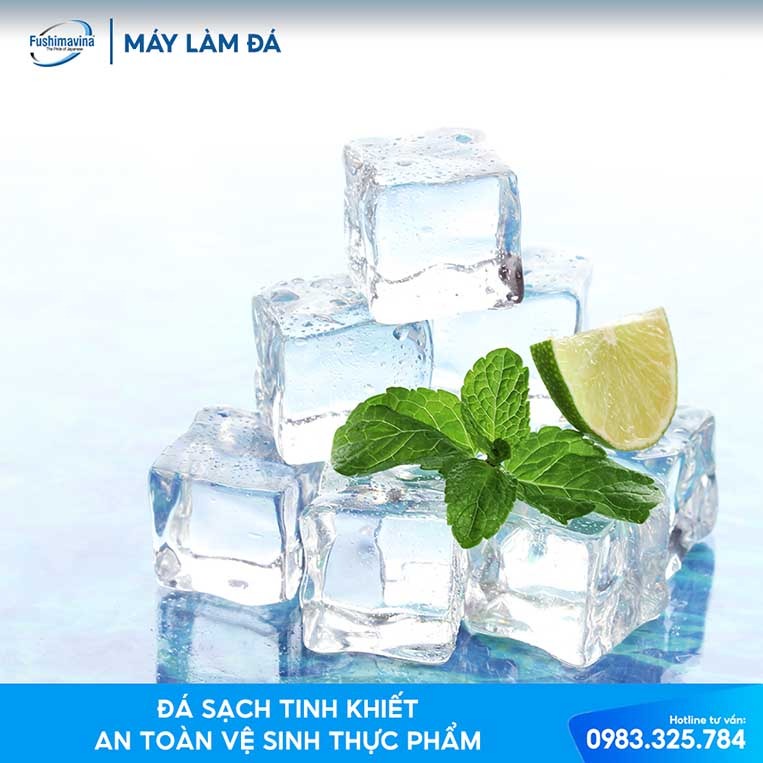 2.2 Lựa chọn máy sản xuất đúng loại đá viên bạn cần dùng