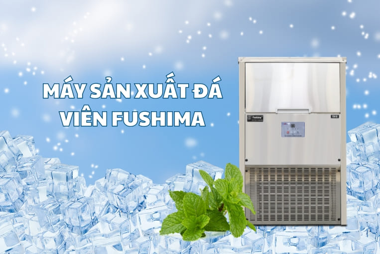 FSM30 sản xuất đá sạch