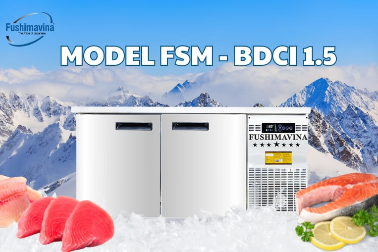 hình ảnh tủ fsm bdci 1.5