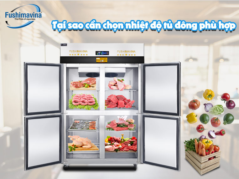 tại sao cần chọn nhiệt độ tủ đông phù hợp