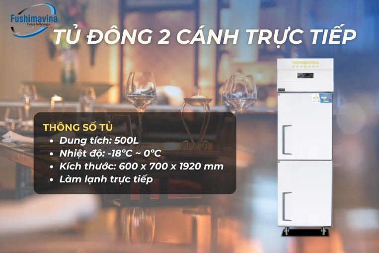 tủ đông 2 cánh lạnh trực tiếp