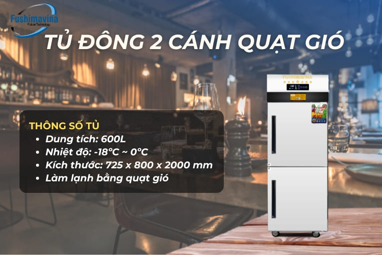 tủ đông 2 cánh quạt gió
