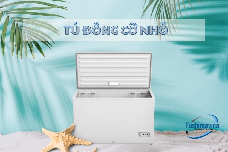 nên mua tủ đông cỡ nhỏ loại nào