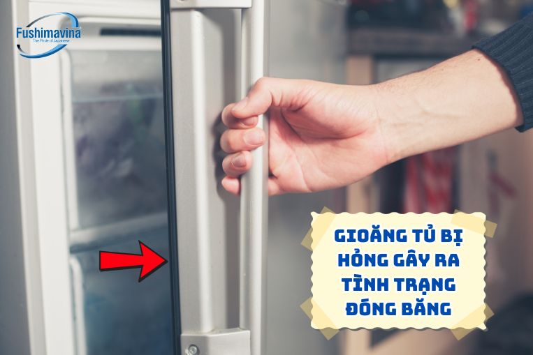 Do gioăng cánh tủ bị hỏng