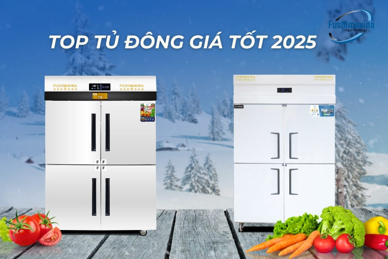 các mẫu tủ đông giá tốt 2025