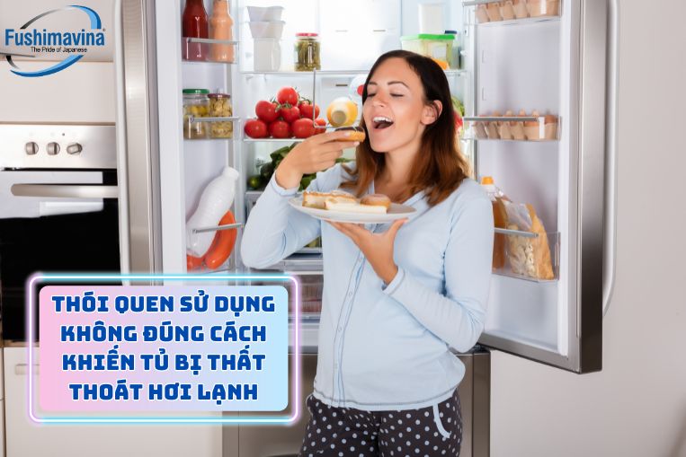 Do hơi lạnh bị thất thoát ra ngoài khiến nhiệt độ tủ không ổn định