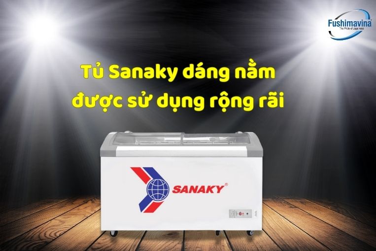 Tủ đông cánh kính Sanaky Vh 8088K