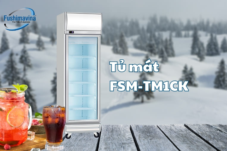 tủ fushima 1 cánh kính