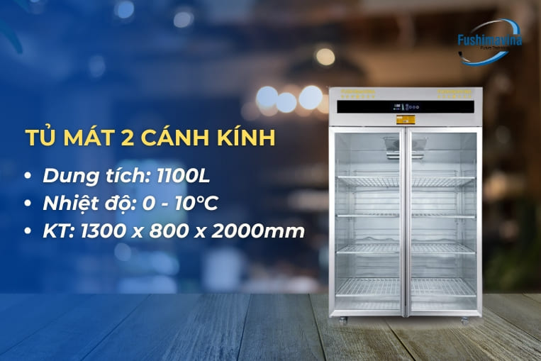 mẫu tủ 2 cánh kính quạt gió