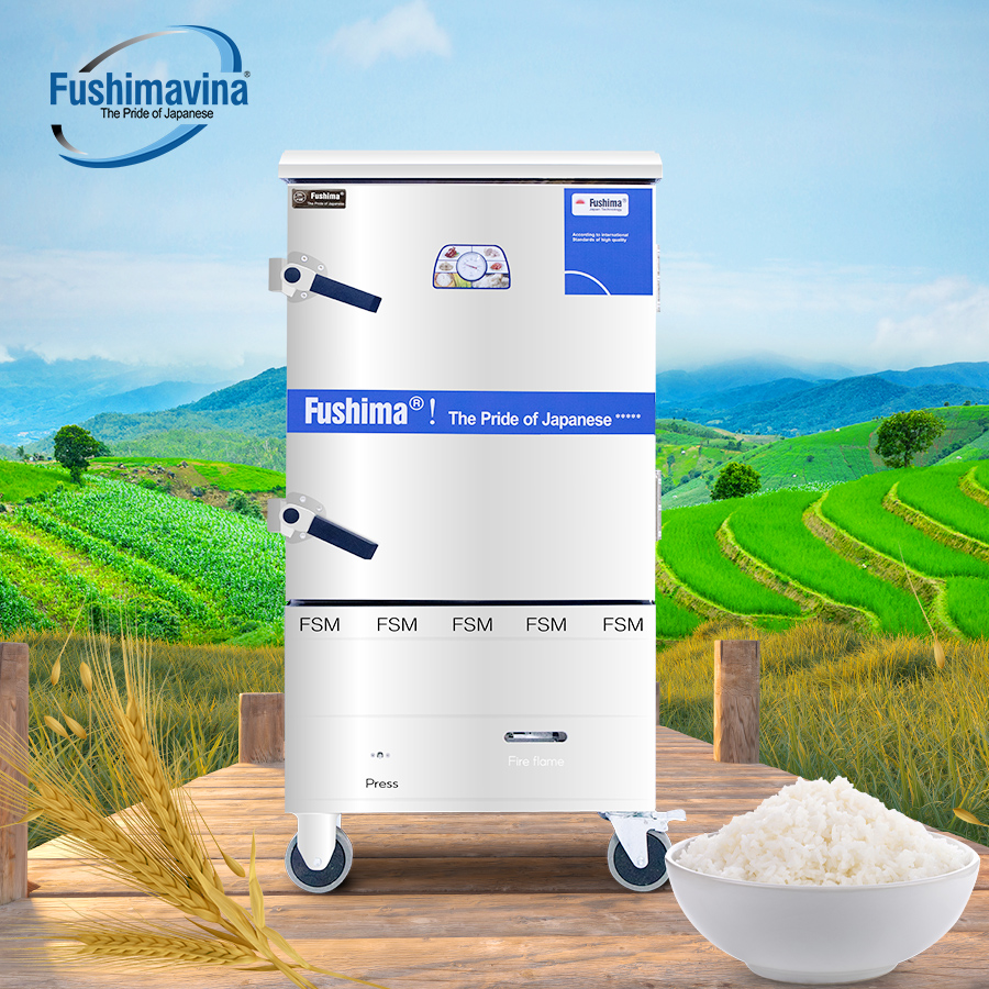 Tủ Nấu Cơm Gas Điện 10 Khay - Ảnh 2