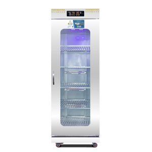 Tủ Sấy Bát Đĩa Cánh Kính 600L 1 lớp