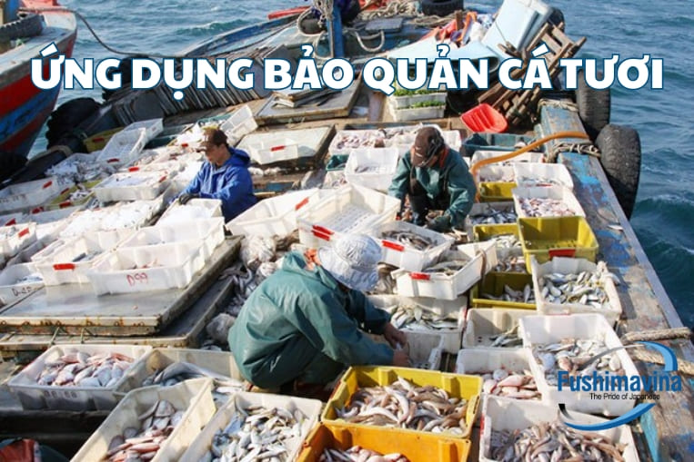 đá vảy được dùng trong đánh bắt hải sản